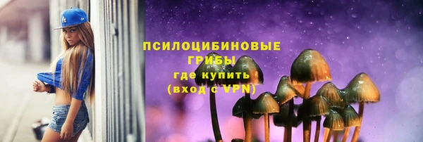 ешки Новокубанск